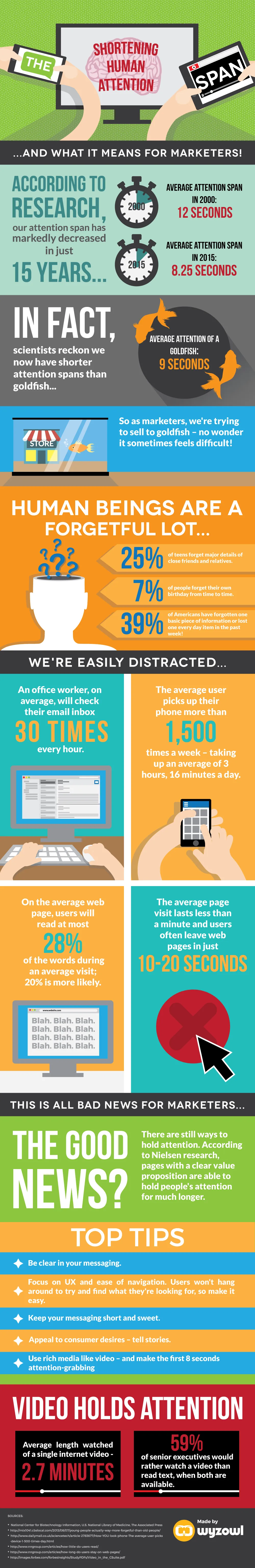 The Human Attention Span infographic
