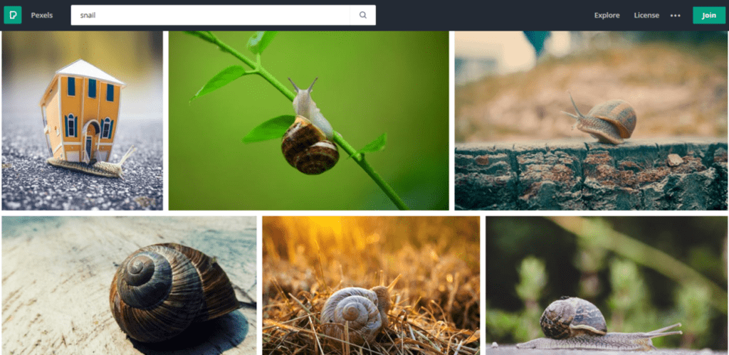 The 18 Best Sites For Royalty Free Images In 2023 | Wyzowl